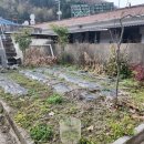 강진신발 이미지