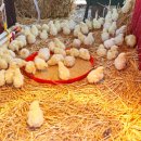 (주)우성사료 경산공장 이미지