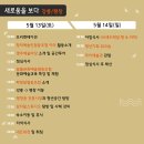평창문화교육 이미지