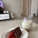 돌체빈스 이미지