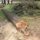 꾸기민박 이미지