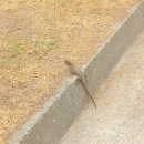 한국엠씨