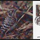 함박초등학교 이미지