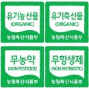 디에스식품