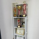 해든마루헬스 | 청주바레 "전통바레" 고수하는 찐 센터! 입문 후기(땀주의)