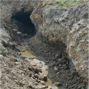 숨골농장 이미지