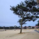 비룡그린파크 | 골프존 카운티 사천 CC 2월 라운딩 후기