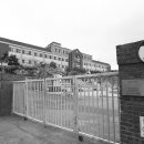 남의로-1 이미지