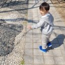 분수대길 이미지