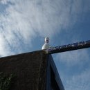 안양골농원 이미지