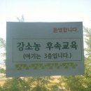수정한과 이미지