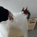 폴린디 이미지