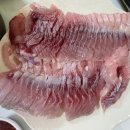 자라섬 맛집 가평 송어회 모두의송어에서 향어회 포장 후기
