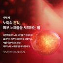 진설향