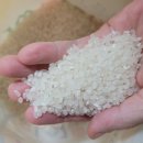 안계합동미곡종합처리장 이미지