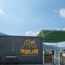 개랑나랑 이미지