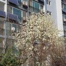 수서서울삼성치과의원 | 서울 일상 기후 무력감 타파 무해한 사람이 되고파