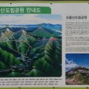 꿈꾸는흙집마당 이미지