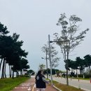 씨유아라뱃길정서진점 | [정서진아라뱃길전국마라톤 후기]나 혼자 10KM달리기