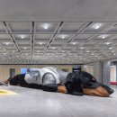 노웨어하우스 이미지