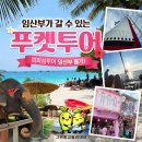 스피드카센타 - 공주시 장기로 160 | 푸켓 피피섬투어 임산부 왜 안되죠? 임산부가 갈 수 있는 푸켓투어