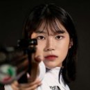 임실군청 뉴스에이