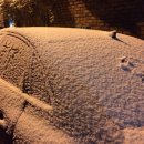 다목적광장 야영장 이미지