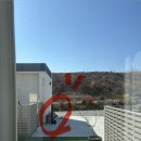 란트루헤 | 강릉 수영장 풀빌라 [란트루헤] 강원도 숙박 아이와온수풀 펜션 후기