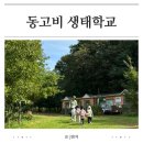 나의 행복한 숲정원(답사)(*첫수업) | 인천 숲체험 동고비 생태학교 오디쌤 5살 첫 수업 후기