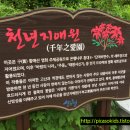 애원민박 이미지