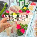 속초 동명항 횟집 스끼다시천국 애견동반 가능한 영금정 대게 맛집