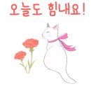 머스트윌 이미지