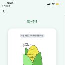 왕천파닭첫