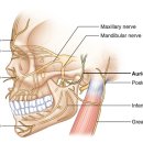장효길한의원 이미지