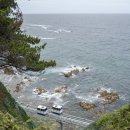 죽변항 이미지