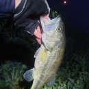 청도천10 이미지