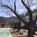 원이중학교이원분교장 이미지