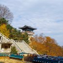 대사동로 이미지