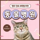 충북동물병원 이미지