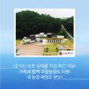 골드렌트카 이미지