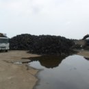 일과리-2 이미지