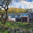 비발디베르만펜션 이미지