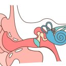 포낙보청기 진주 이미지