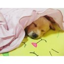 오복이PC 이미지