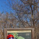 라온 태양광발전소 이미지