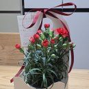 광교 꽃집 "플루드 몽드" 어버이날 맞이 카네이션 구매 후기 (가격, 상품,퀵배달 소개)