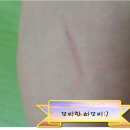미미박스 프리지마에보니 펜슬 후기