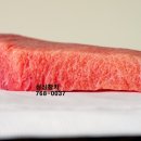 싱싱참치 이미지
