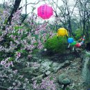 한진(아)북악경로당 | 돈암동 북악스카이웨이 북악산책로에서 북한산 둘레길 형제봉까지