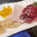 준참치 이미지